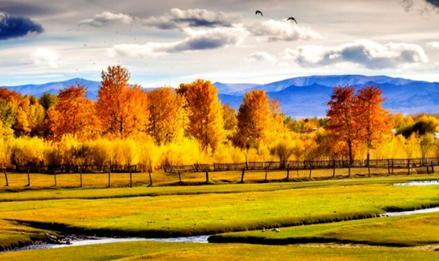 Ирэх өдрүүдэд нийт нутгаар өдөртөө бага зэрэг дулаарна